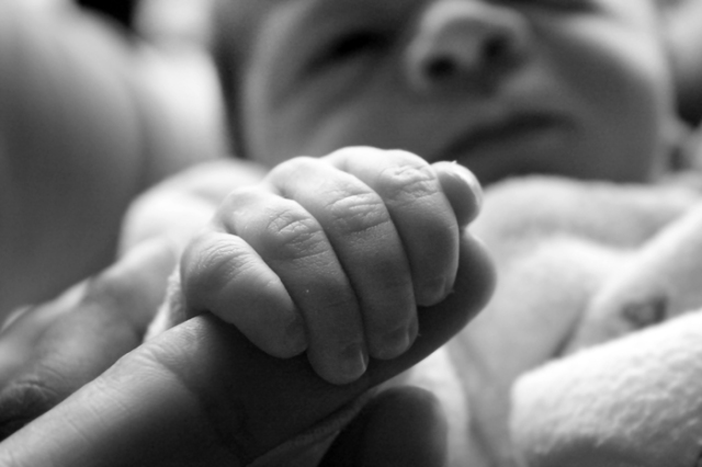 Foto en blanco y negro en primer plano manita de recién nacido coge el dedo de un adulto.